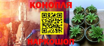 Альфа ПВП Вязьма