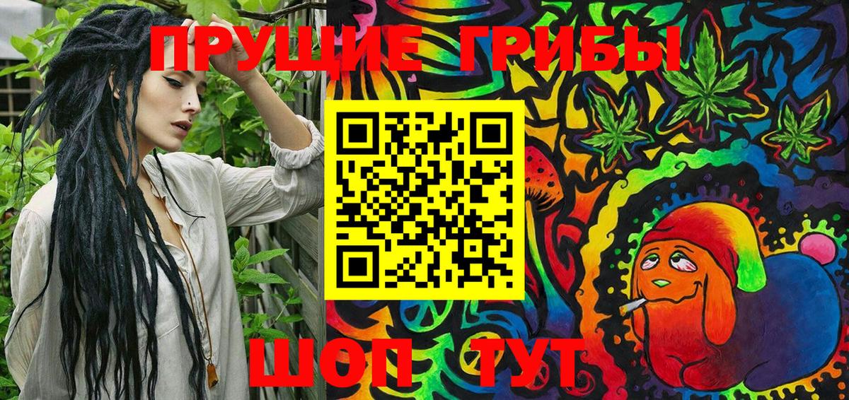 Псилоцибиновые грибы Psilocybine cubensis Елабуга