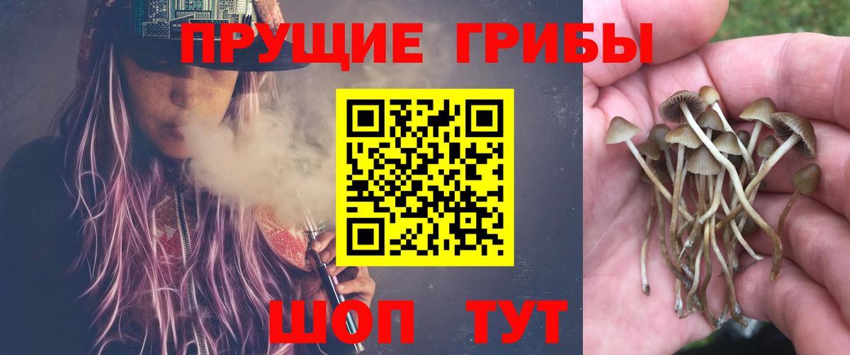 Псилоцибиновые грибы Psilocybe  Вход с VPN  Елабуга  Галлюциногенные грибы MAGIC MUSHROOMS 